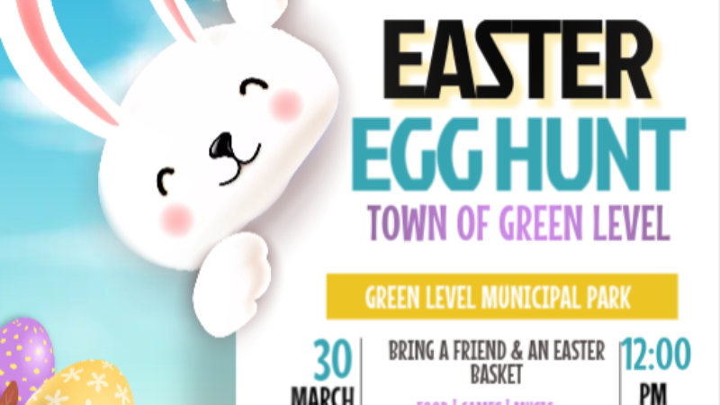 MicrosoftTeams-image (1)